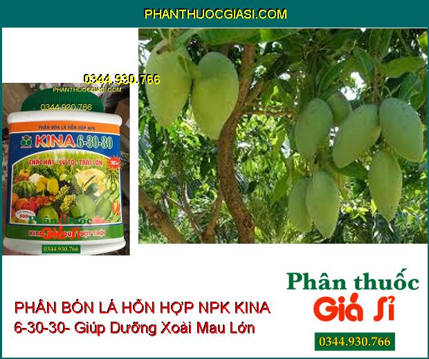 PHÂN BÓN LÁ HỖN HỢP NPK KINA 6-30-30- Chắc Hạt- Củ To- Trái Lớn