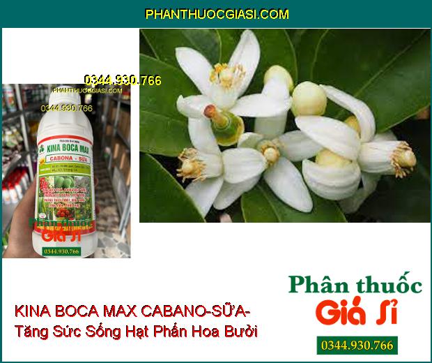 PHÂN BÓN LÁ VI LƯỢNG KINA BOCA MAX CABANO-SỮA- Tăng Đậu Quả- Bóng Đẹp Trái- Cứng Cây