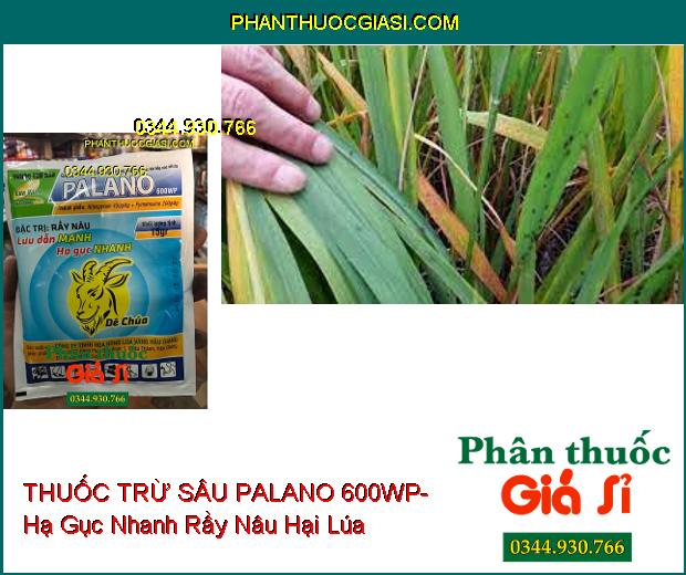 THUỐC TRỪ SÂU PALANO 600WP- Lưu Dẫn Mạnh- Hạ Gục Nhanh Rầy Nâu