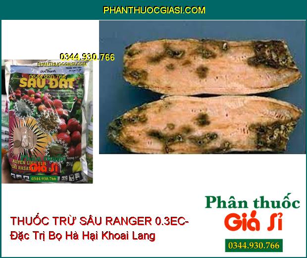 THUỐC TRỪ SÂU RANGER 0.3EC- Đặc Trị Sâu Đất- Tuyến Trùng- Sâu Đục Thân- Bọ Hà