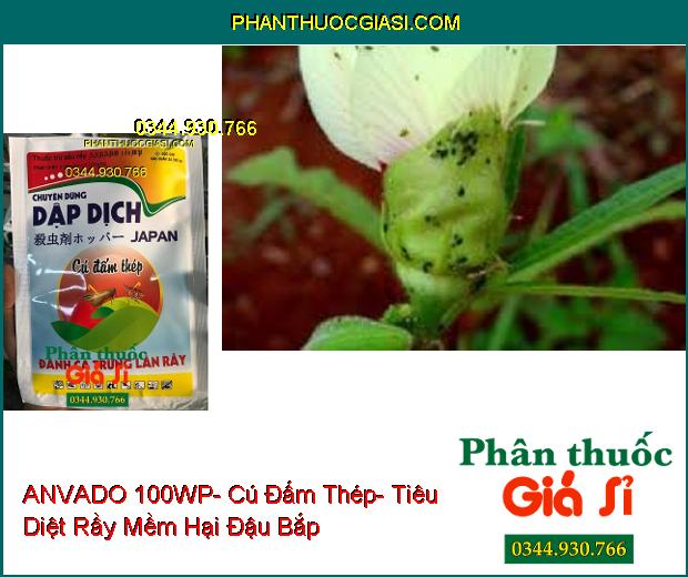 THUỐC TRỪ SÂU RẦY ANVADO 100WP- Cú Đấm Thép- Tiêu Diệt Cả Rầy Và Trứng Rầy