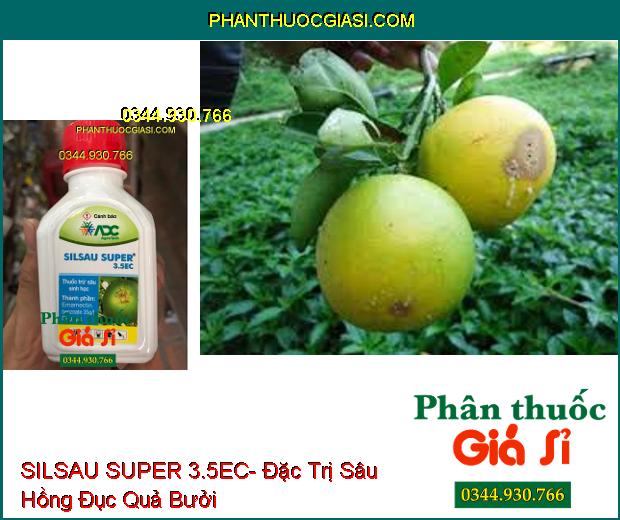 THUỐC TRỪ SÂU SINH HỌC SILSAU SUPER 3.5EC- Đặc Trị Sâu Hồng Đục Quả Bưởi