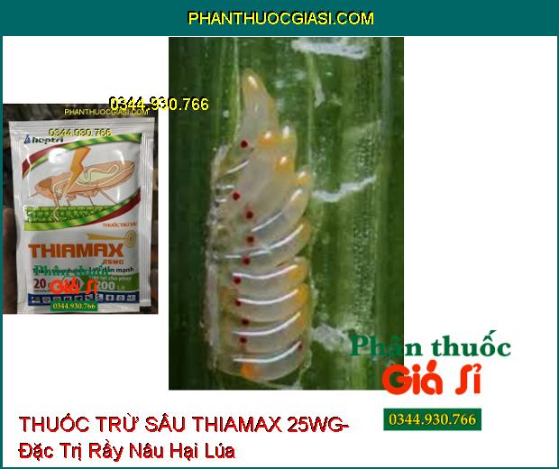 THUỐC TRỪ SÂU THIAMAX 25WG- Đặc Trị Rầy Nâu Hại Lúa- Diệt Cả Rầy Non Và Rầy Trưởng Thành