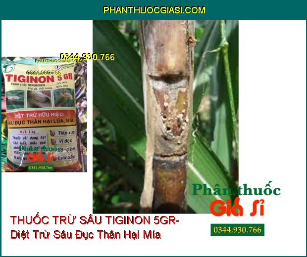 THUỐC TRỪ SÂU TIGINON 5GR- Diệt Trừ Hữu Hiệu Sâu Đục Thân Hại Lúa- Mía