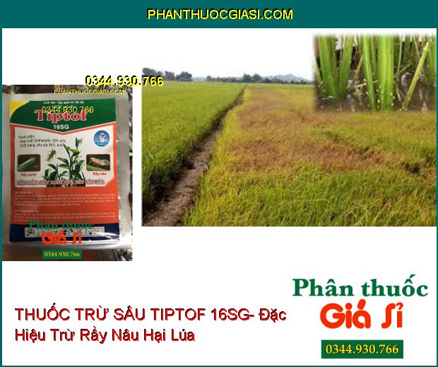 THUỐC TRỪ SÂU TIPTOF 16SG- Đặc Hiệu Trừ Rầy Xanh Hại Chè- Rầy Nâu Hại Lúa