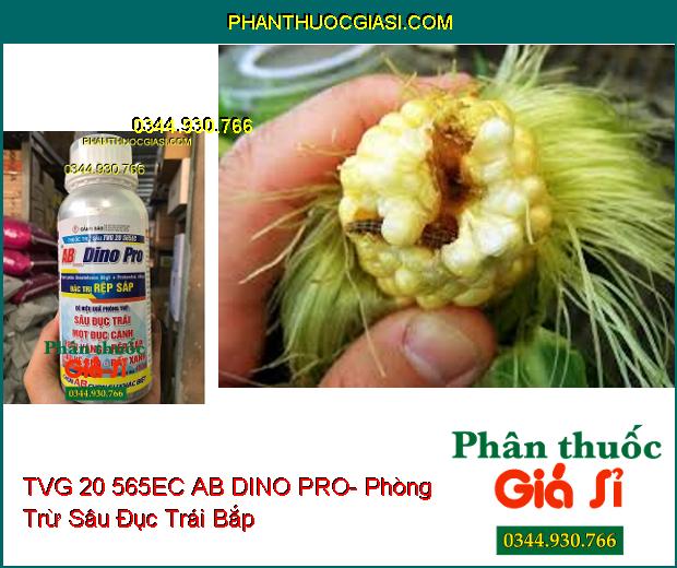 THUỐC TRỪ SÂU TVG 20 565EC AB DINO PRO- Phòng Trừ Rệp Sáp- Sâu- Ruồi- Rầy