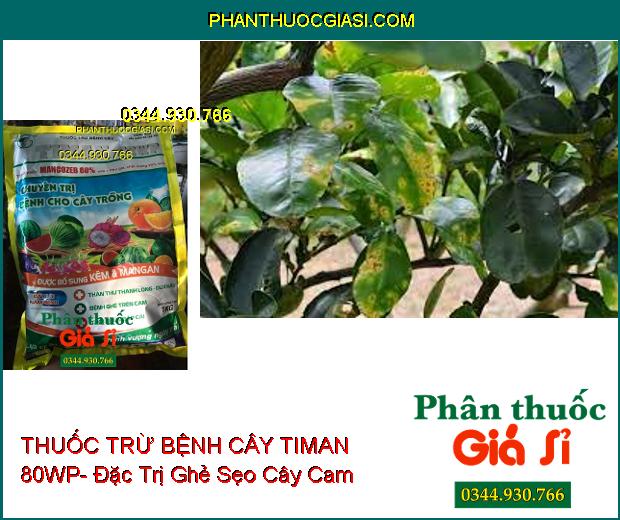 THUỐC TRỪ BỆNH CÂY TIMAN 80WP- Đặc Trị Thán Thư- Ghẻ Trái- Thối Nhũn