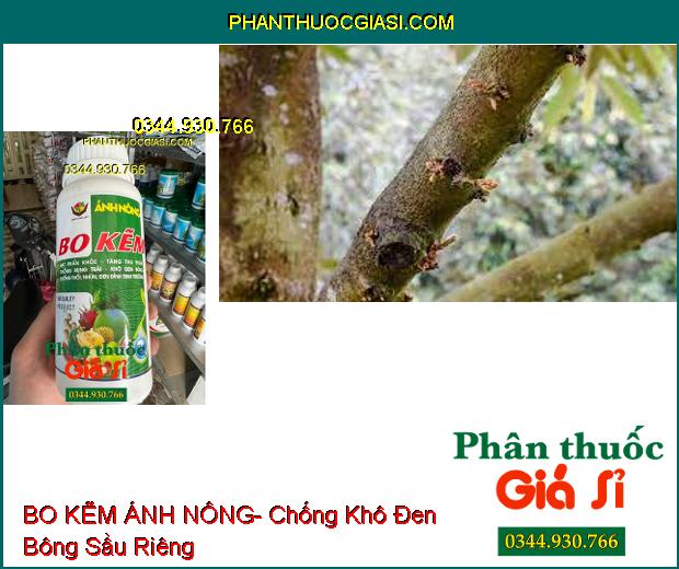 BO KẼM ÁNH NÔNG- Hạt Phấn Khỏe- Tăng Thụ Phấn- Chống Rụng Trái