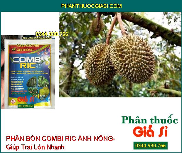 PHÂN BÓN VI LƯỢNG COMBI RIC ÁNH NÔNG- Giúp Dưỡng Xanh Dày Lá- Hạn Chế Xoăn Lá- Chống Rụng Trái Non