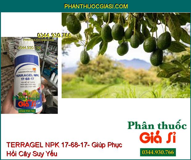 PHÂN BÓN LÁ HỖN HỢP TERRAGEL NPK 17-68-17- Kích Rễ- Đẻ nhánh- Phân Hóa Mầm Hoa