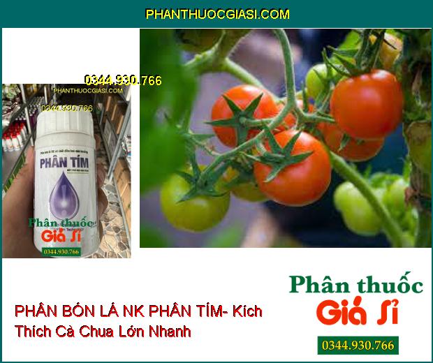 PHÂN BÓN LÁ NK PHÂN TÍM- Kích Thích Cây Sinh Trưởng Nhanh- Làm Lớn Trái Nhanh- Tăng Năng Suất