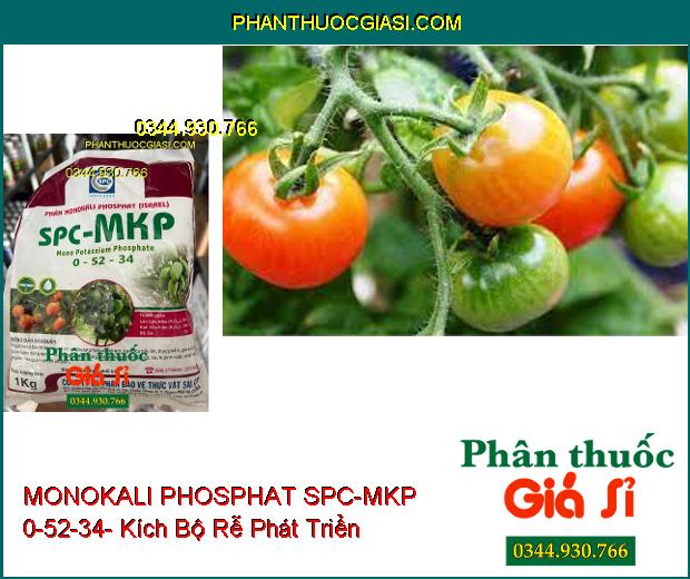 PHÂN BÓN MONOKALI PHOSPHAT SPC-MKP 0-52-34- Thúc Đẩy Lá Mau Già- Xử Lý Ra Hoa