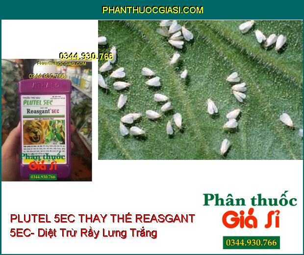 THUỐC TRỪ SÂU PLUTEL 5EC THAY THẾ REASGANT 5EC- Diệt Trừ Các Loại Sâu Hại Trên Cây Trồng