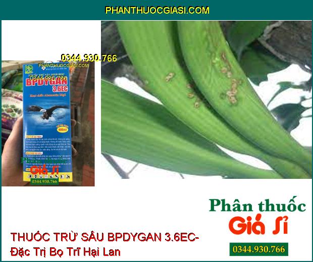 THUỐC TRỪ SÂU SINH HỌC BPDYGAN 3.6EC- Đặc Trị Sâu Cuốn Lá- Sâu Xanh- Bọ Trĩ