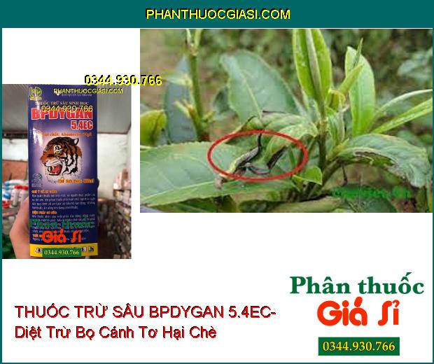 THUỐC TRỪ SÂU SINH HỌC BPDYGAN 5.4EC- Trừ Các Loại Sâu Hại- Nhện Đỏ- Bọ Cánh Tơ