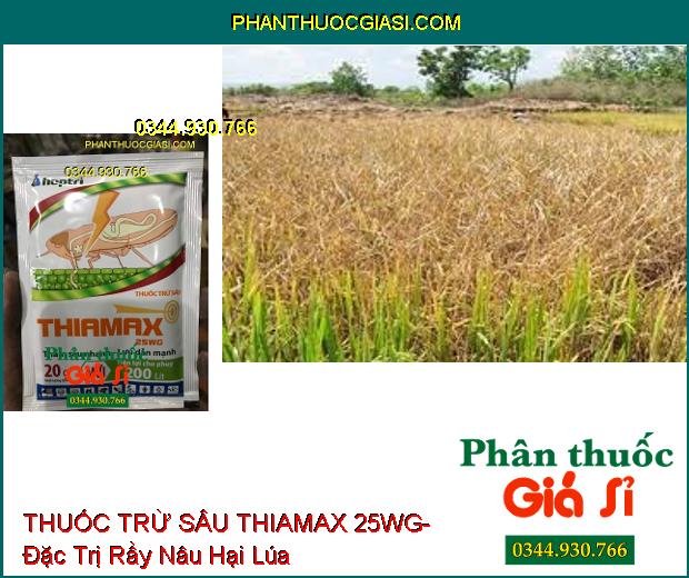 THUỐC TRỪ SÂU THIAMAX 25WG- Đặc Trị Rầy Nâu Hại Lúa- Diệt Cả Rầy Non Và Rầy Trưởng Thành