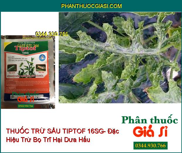 THUỐC TRỪ SÂU TIPTOF 16SG- Đặc Hiệu Trừ Rầy Xanh Hại Chè- Rầy Nâu Hại Lúa