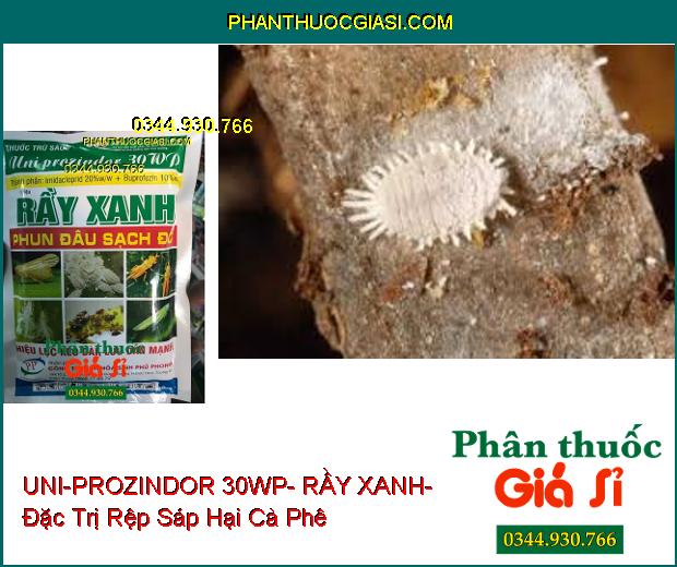 THUỐC TRỪ SÂU UNI-PROZINDOR 30WP- RẦY XANH- Đặc Trị Côn Trùng Chích Hút- Rầy Không Thể Lột Xác