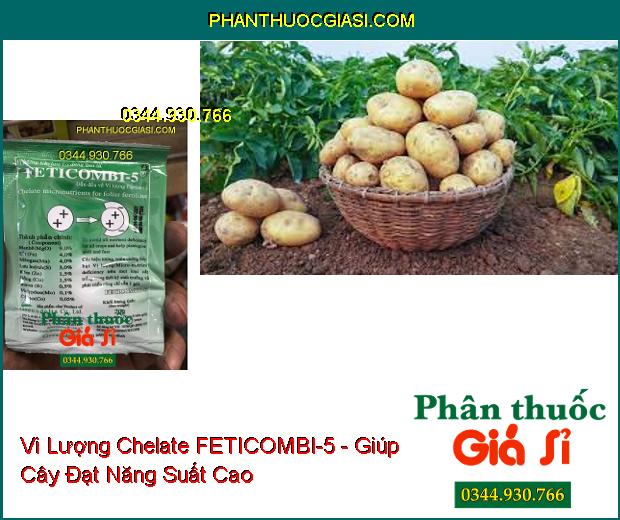 Vi Lượng Chelate Dùng Qua Lá FETICOMBI-5 - Ra Hoa Đồng Loạt- Ngăn Rụng Trái Non