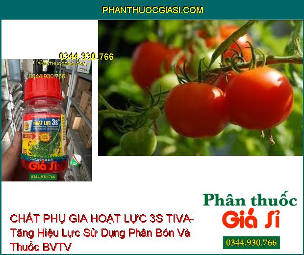 CHẤT PHỤ GIA HOẠT LỰC 3S TIVA- Tăng Hiệu Lực Sử Dụng Phân Bón Và Thuốc BVTV