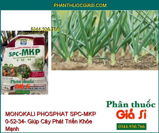 PHÂN BÓN MONOKALI PHOSPHAT SPC-MKP 0-52-34- Thúc Đẩy Lá Mau Già- Xử Lý Ra Hoa