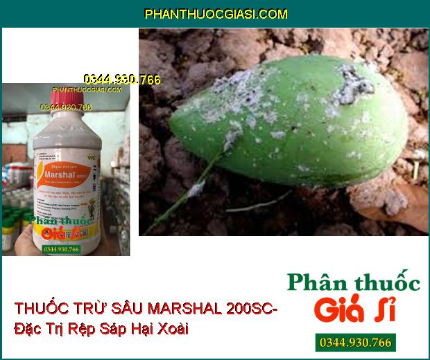 THUỐC TRỪ SÂU MARSHAL 200SC- Đặc Trị Sâu Đục Thân- Rầy Nâu- Rệp Sáp- Ve Sầu