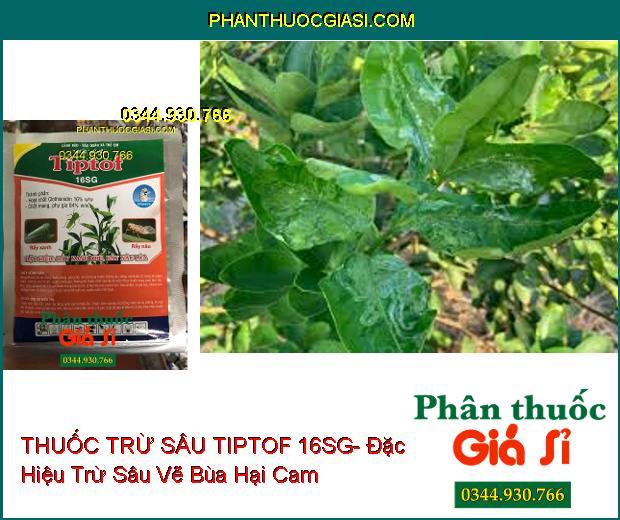 THUỐC TRỪ SÂU TIPTOF 16SG- Đặc Hiệu Trừ Rầy Xanh Hại Chè- Rầy Nâu Hại Lúa