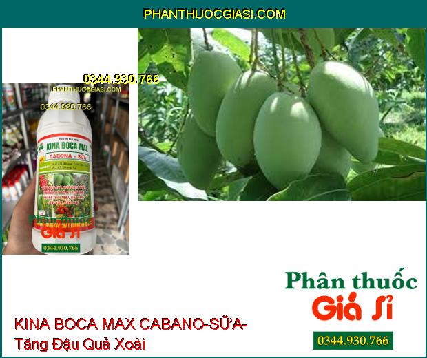 PHÂN BÓN LÁ VI LƯỢNG KINA BOCA MAX CABANO-SỮA- Tăng Đậu Quả- Bóng Đẹp Trái- Cứng Cây