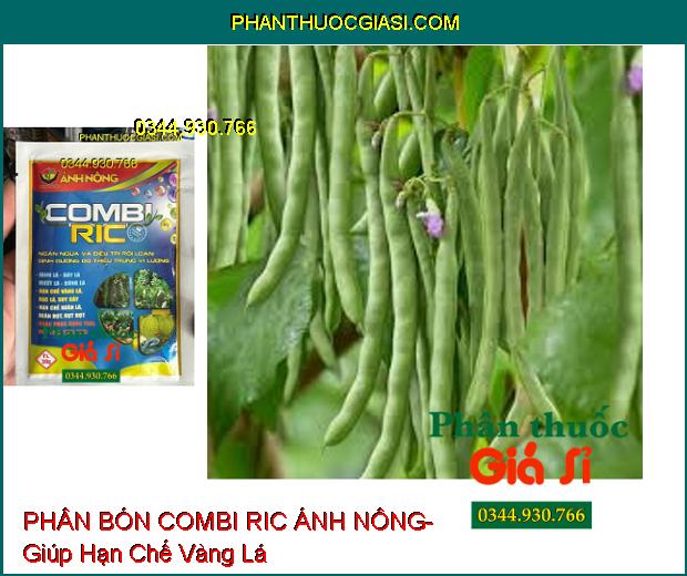 PHÂN BÓN VI LƯỢNG COMBI RIC ÁNH NÔNG- Giúp Dưỡng Xanh Dày Lá- Hạn Chế Xoăn Lá- Chống Rụng Trái Non