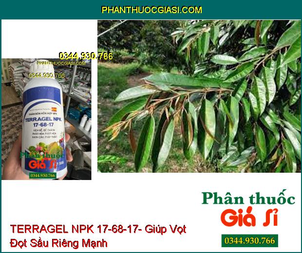 PHÂN BÓN LÁ HỖN HỢP TERRAGEL NPK 17-68-17- Kích Rễ- Đẻ nhánh- Phân Hóa Mầm Hoa