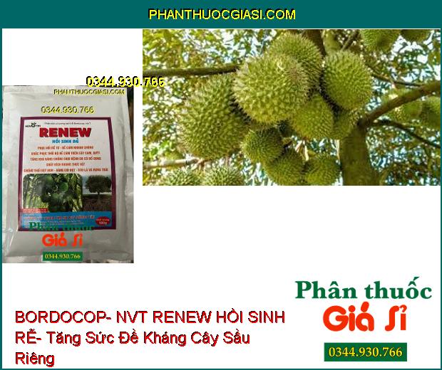 PHÂN BÓN VI LƯỢNG BORDOCOP- NVT RENEW HỒI SINH RỄ- Phục Hồi Rễ- Khắc Phục Thối Rễ- Chống Thối Đọt Non