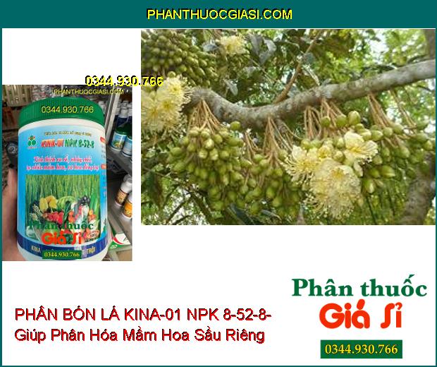 PHÂN BÓN LÁ KINA-01 NPK 8-52-8- Kích Thích Ra Rễ- Nhảy Chồi- Tạo Nhiều Mầm Hoa