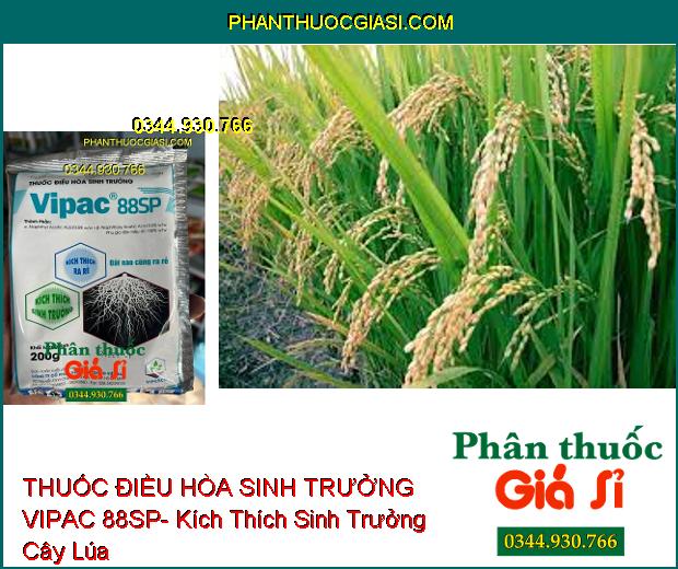 THUỐC ĐIỀU HÒA SINH TRƯỞNG VIPAC 88SP- Kích Thích Ra Rễ- Kích Thích Sinh Trưởng