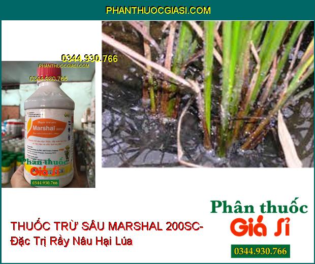 THUỐC TRỪ SÂU MARSHAL 200SC- Đặc Trị Sâu Đục Thân- Rầy Nâu- Rệp Sáp- Ve Sầu