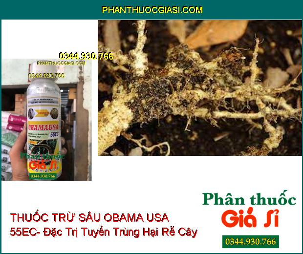 THUỐC TRỪ SÂU OBAMA USA 55EC- Đặc Trị Tuyến Trùng- Rệp Sáp- Sâu- Nhện Đỏ