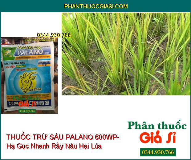 THUỐC TRỪ SÂU PALANO 600WP- Lưu Dẫn Mạnh- Hạ Gục Nhanh Rầy Nâu