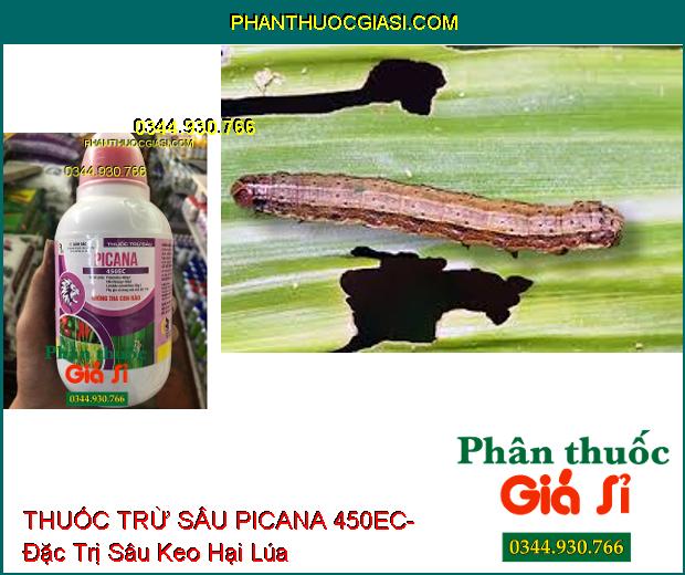 THUỐC TRỪ SÂU PICANA 450EC- Phòng Trừ Rầy Trắng- Diệt Sâu Kháng Thuốc