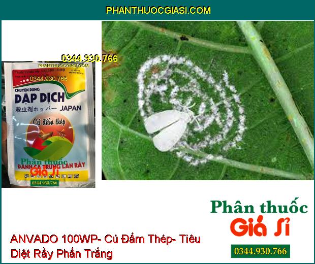 THUỐC TRỪ SÂU RẦY ANVADO 100WP- Cú Đấm Thép- Tiêu Diệt Cả Rầy Và Trứng Rầy