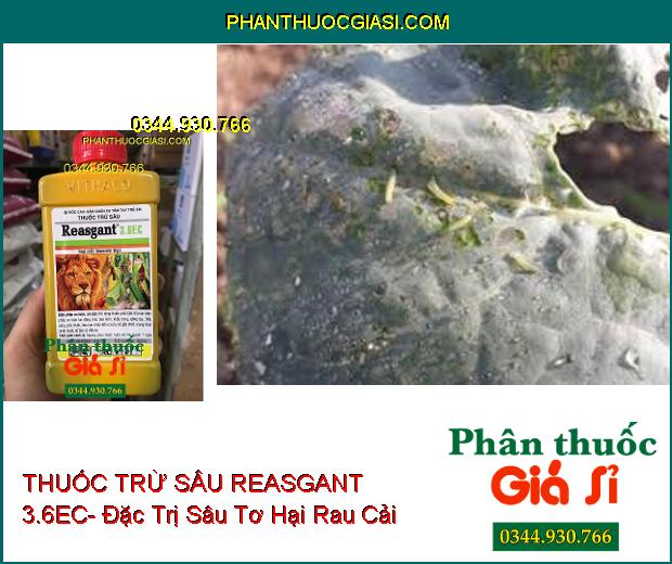 THUỐC TRỪ SÂU REASGANT 3.6EC- Đặc Trị Nhiều Loại Côn Trùng Hại Cây 