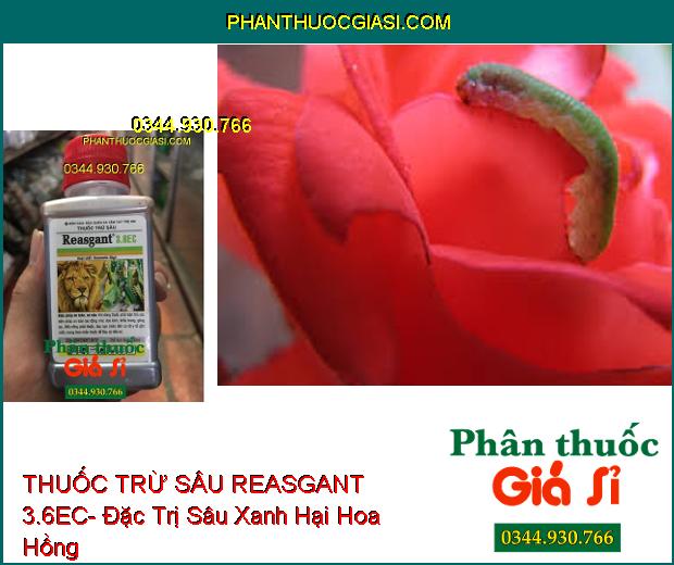 THUỐC TRỪ SÂU REASGANT 3.6EC- Đặc Trị Nhiều Loại Sâu Hại Trên Nhiều Loại Cây Trồng