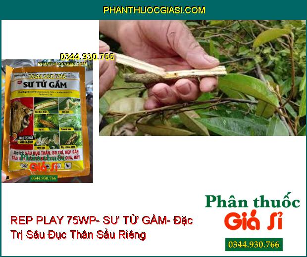 THUỐC TRỪ SÂU REP PLAY 75WP- SƯ TỬ GẦM- Đặc Trị Sâu Đục Thân- Bọ Trĩ- Rầy- Rệp Sáp