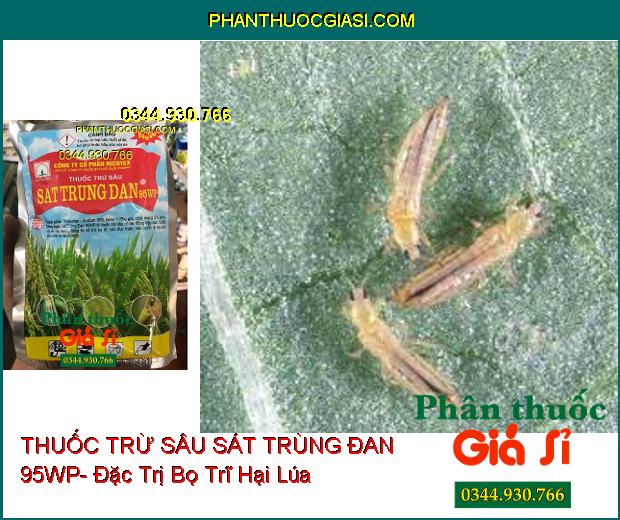 THUỐC TRỪ SÂU SÁT TRÙNG ĐAN 95WP- Đặc Trị Bọ Trĩ- Sâu Đục Thân- Sâu Cuốn Lá