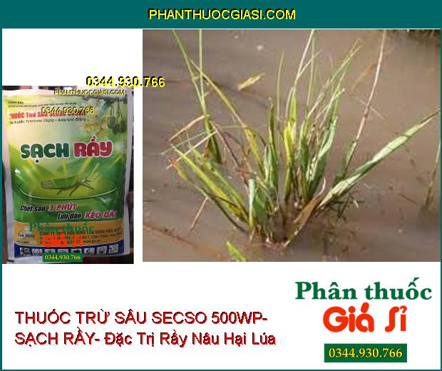 THUỐC TRỪ SÂU SECSO 500WP- SẠCH RẦY- Đặc Trị Rầy- Bọ Xít Muỗi