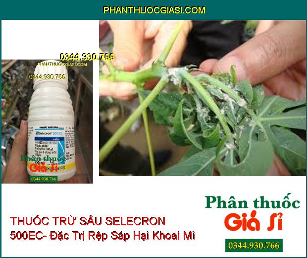 THUỐC TRỪ SÂU SELECRON 500EC- Đặc Trị Rệp Sáp- Nhện Đỏ- Sâu- Bọ Trĩ