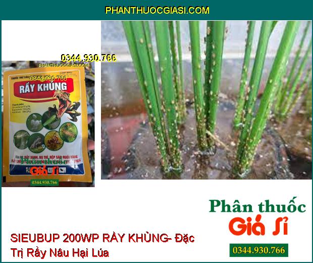 THUỐC TRỪ SÂU SIEUBUP 200WP RẦY KHỦNG- Đặc Trị Rầy Xanh- Bọ Trĩ- Rệp Sáp- Ruồi Vàng- Tuyến Trùng