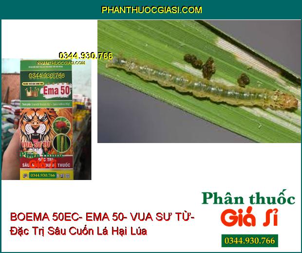 THUỐC TRỪ SÂU SINH HỌC BOEMA 50EC- EMA 50- VUA SƯ TỬ- Đặc Trị Sâu Nhện Kháng Thuốc