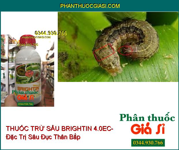 THUỐC TRỪ SÂU SINH HỌC BRIGHTIN 4.0EC- Đặc Trị Sâu Xanh- Bọ Trĩ- Nhện Đỏ- Nhện Gié