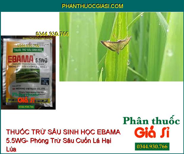 THUỐC TRỪ SÂU SINH HỌC EBAMA 5.5WG- Phòng Trừ Sâu Cuốn Lá Hại Lúa