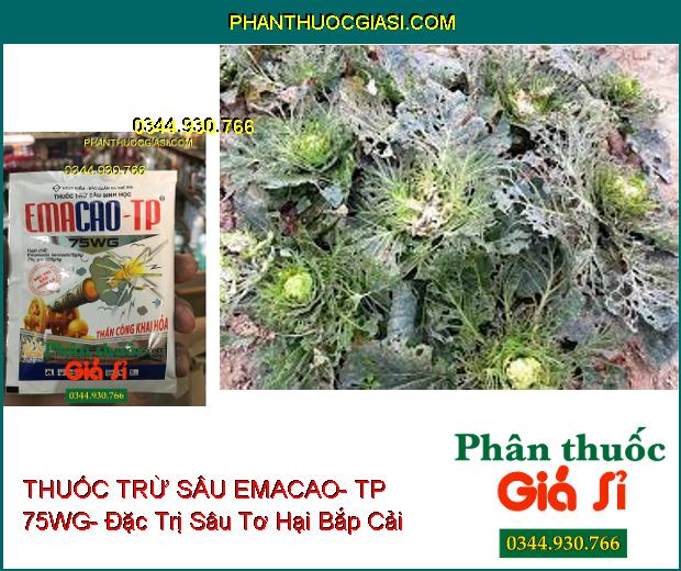 THUỐC TRỪ SÂU SINH HỌC EMACAO- TP 75WG- Trừ Các Loại Sâu Đã Kháng Thuốc