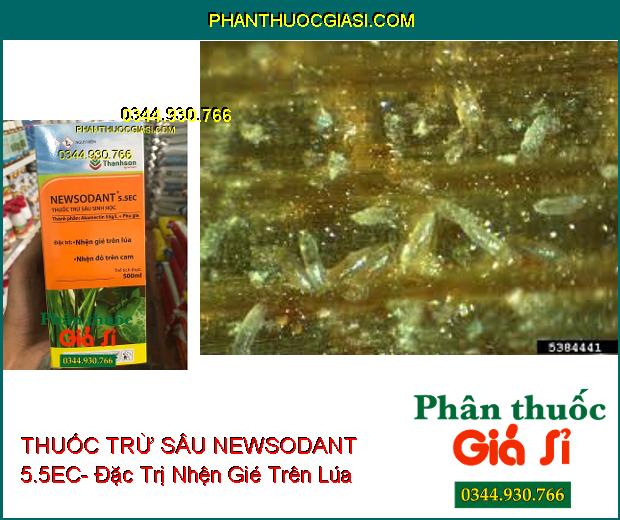 THUỐC TRỪ SÂU SINH HỌC NEWSODANT 5.5EC- Đặc Trị Nhện Gié Trên Lúa- Nhện Đỏ Trên Cam